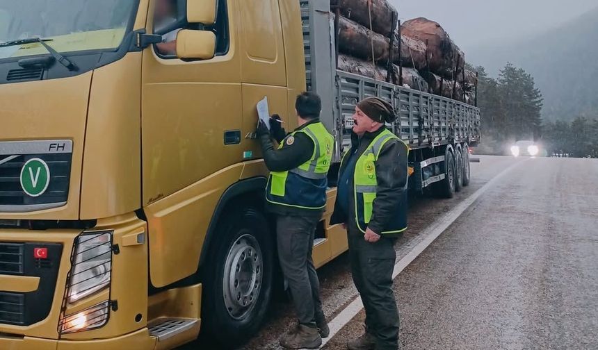 Bolu’da orman emvali taşıyan araçlara sıkı denetim