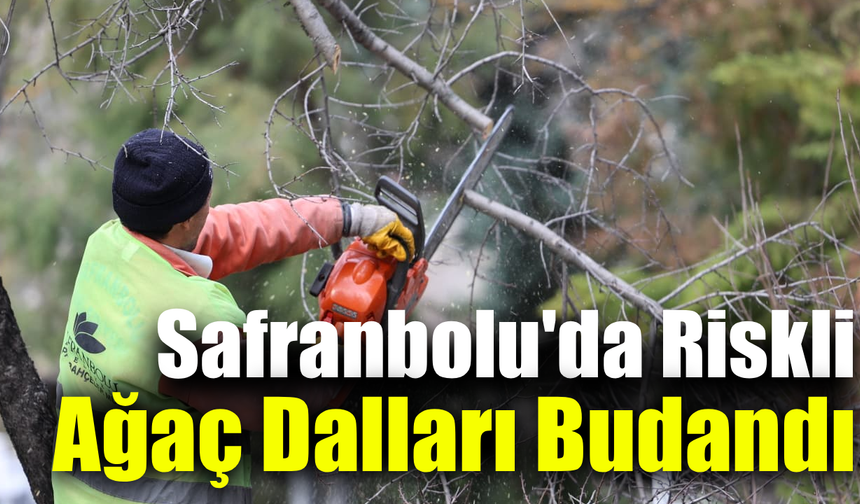 Safranbolu Belediyesi’nden park ve sokaklarda ağaç temizliği
