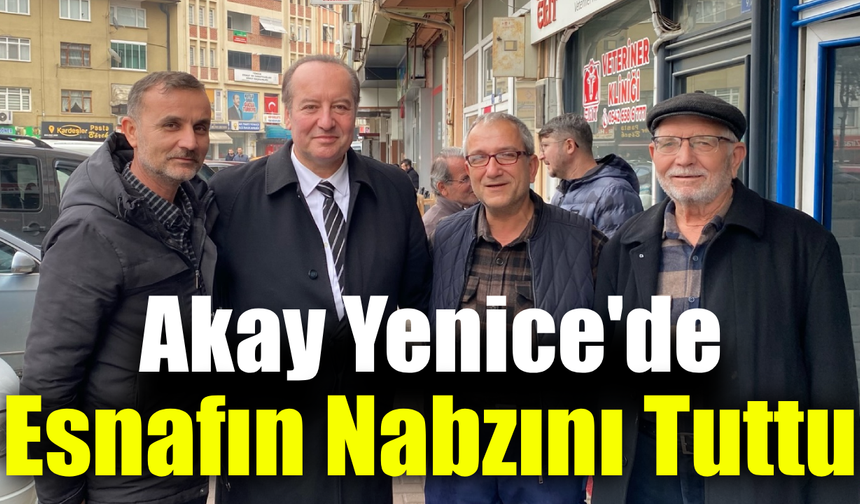 Milletvekili Akay Yenice'de vatandaşlarla buluştu