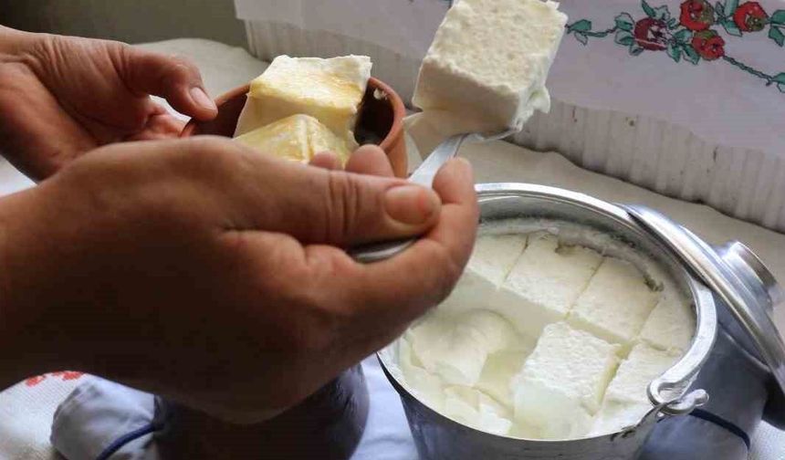 Bartın’ın manda yoğurdu ulusal envantere girdi