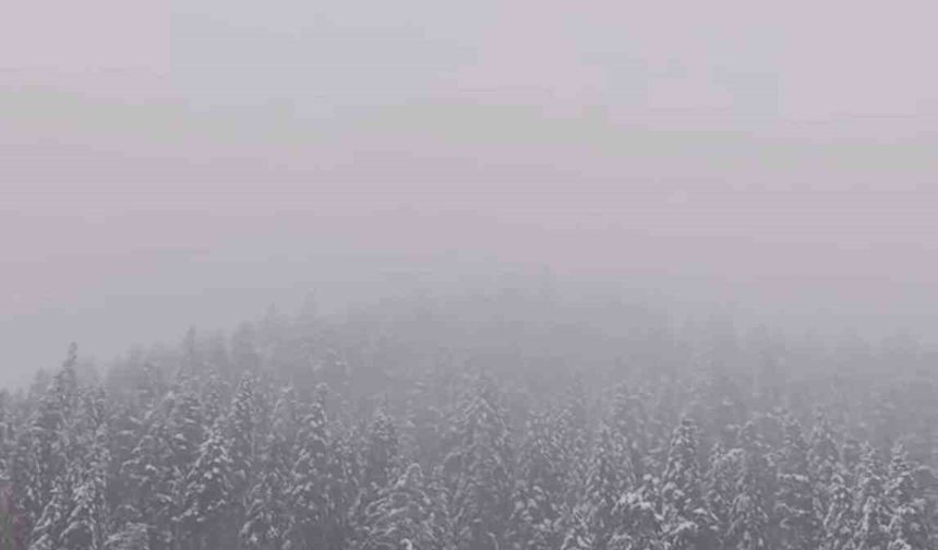 Ilgaz Dağı'nda kar yağışı etkili oldu