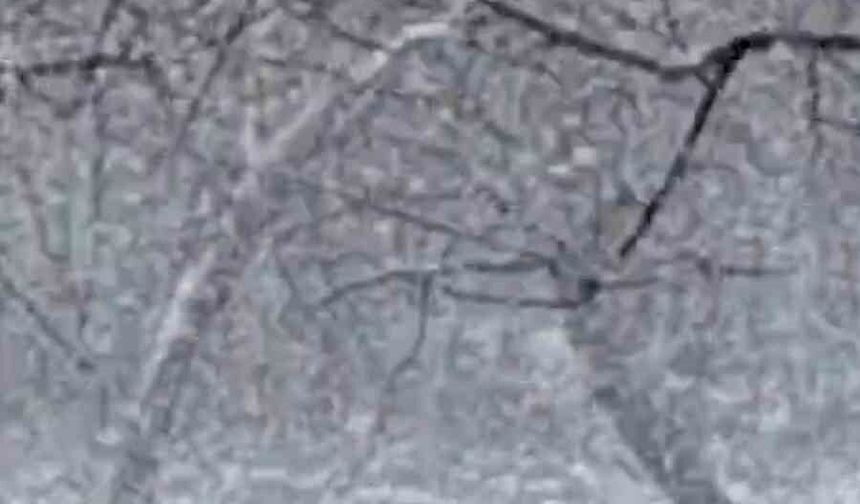 Mudurnu’da kar yağışı etkisini artırdı