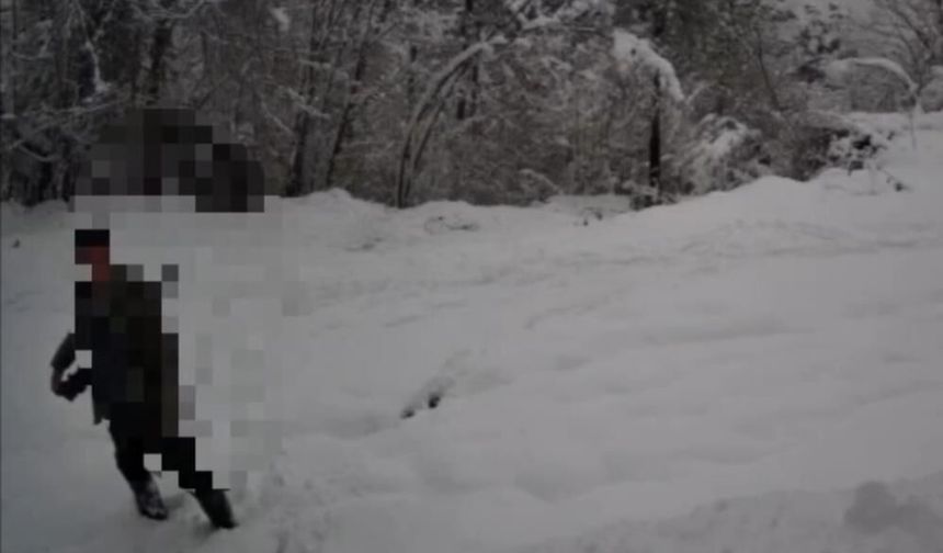 Ormanda yasa dışı avlanmaya suçüstü