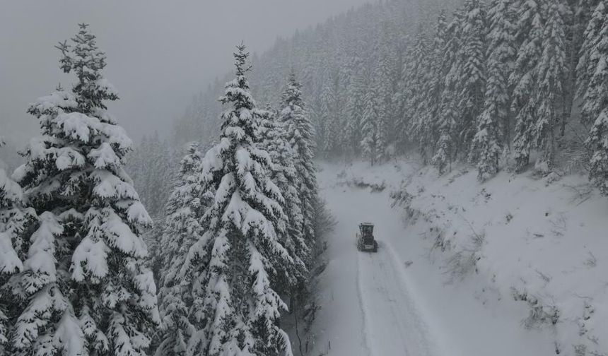 Ekipler seferber oldu: Karla mücadele sürüyor