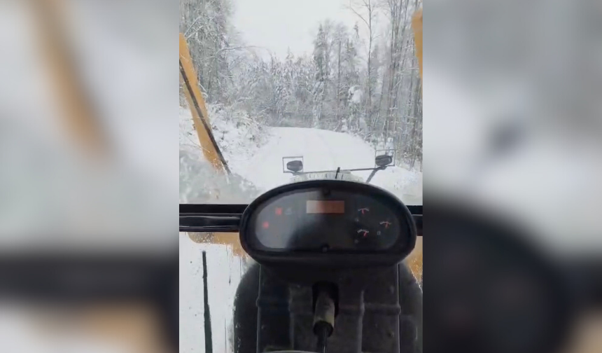 Kar yağışı hayatı felç etti: 243 köy yolu kapalı