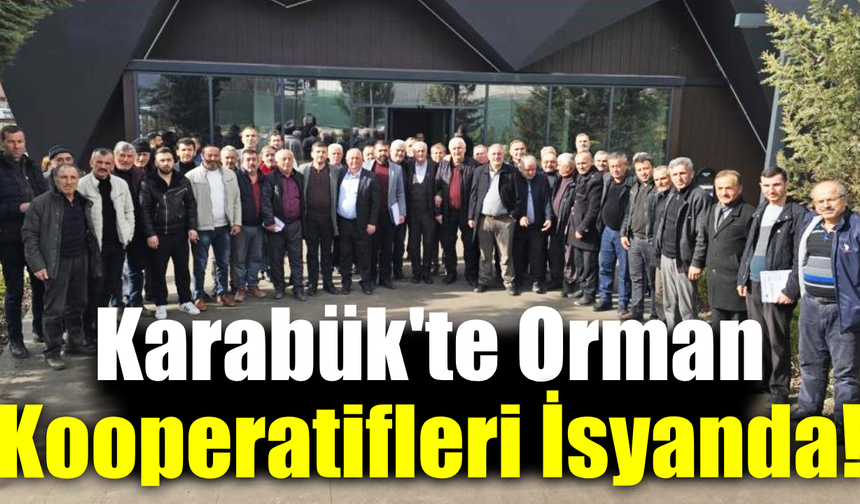 Karabük orman kooperatifleri yetkililere seslendi