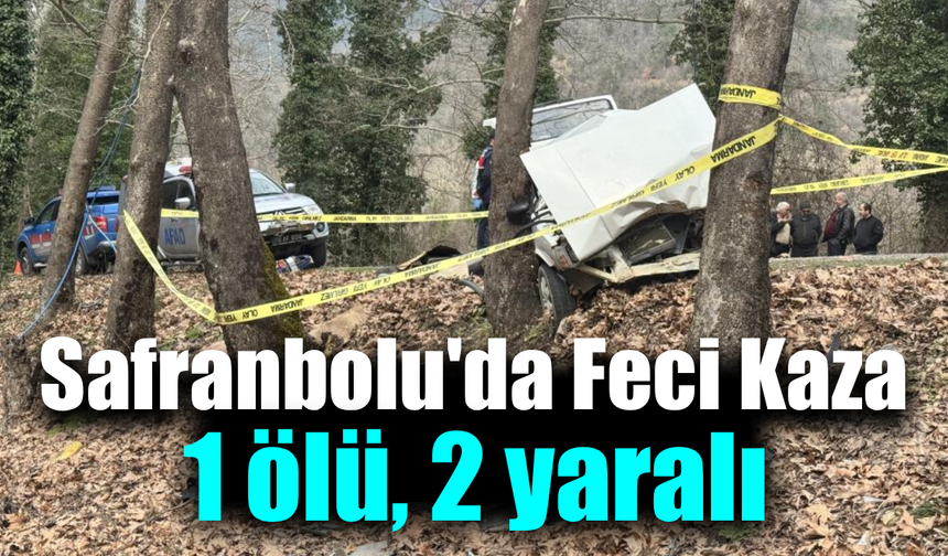 Safranbolu-Bartın kara yolunda otomobil ağaca çarptı