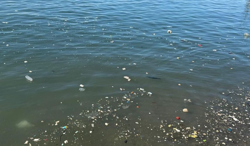 Zonguldak’ta kıyı şeridi alarm veriyor