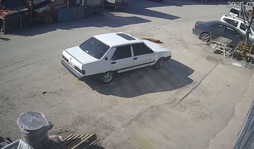 Yerde yatan köpeği ezip yoluna devam etti