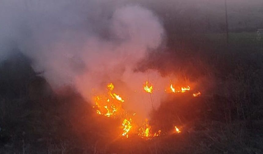 Mudurnu’da alevler yayılmadan durduruldu