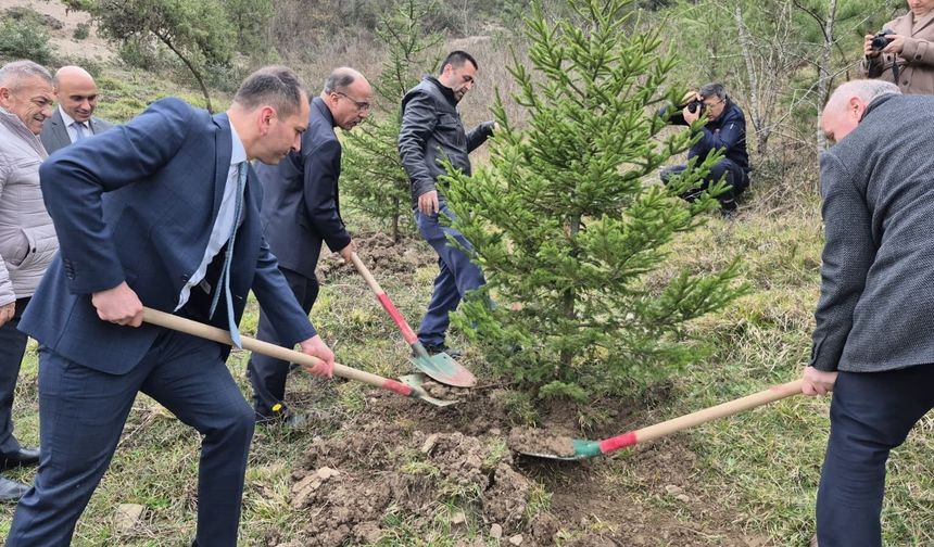 Bartın’da hükümlüler Adalet Ormanı’nda fidan dikti