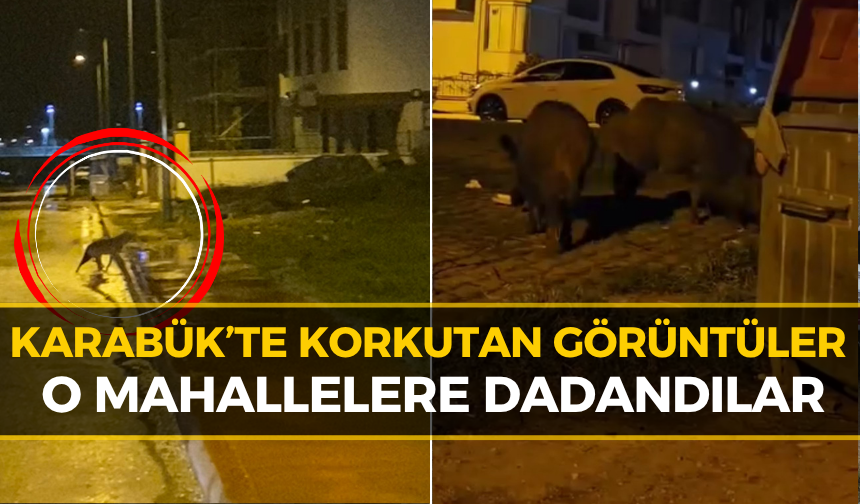 Karabüklüler Aman Dikkat: Aç Kalınca Şehre İndiler!
