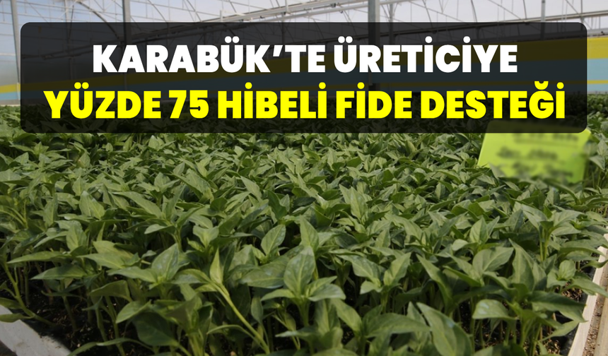 Sebze fidesi desteği için başvurular başladı