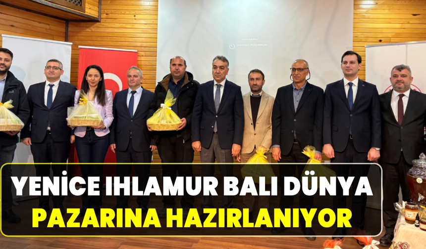 Yenice Ihlamur Balı marka değerini büyütüyor