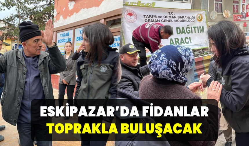 Kaymakam Ustaoğlu vatandaşlara fidan dağıttı