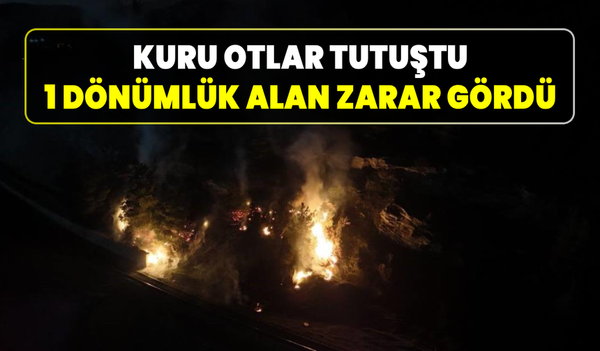 Karabük’te ormanlık alanda korkutan yangın!