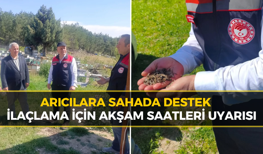 Safranbolu’da Arıcılara Saha Desteği Artıyor