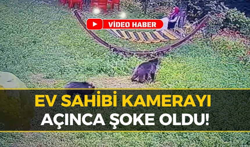 Karabük’te Bahçeye Giren Ayılar Korkuttu! İşte O Anlar