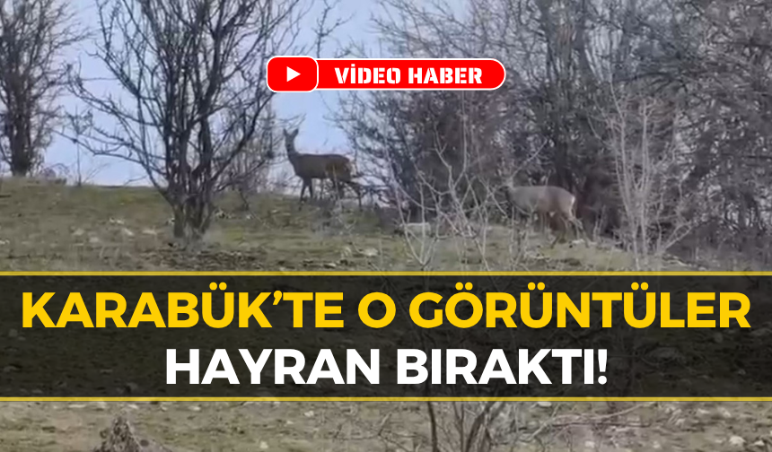 Karabük’te Nadir Görülen O Anlar