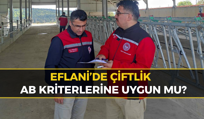 Eflani`de Çiftliğe AB Kriteri Denetimi