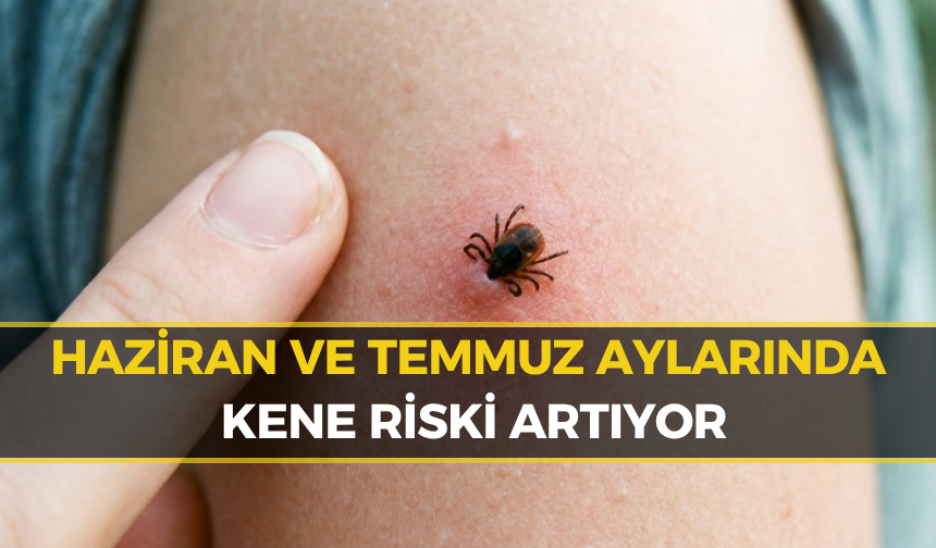Karabük İçin Korkutan Kene ve KKKA Riski Uyarısı!