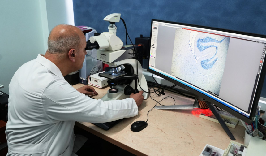 Karabük Üniversitesinden Alzheimer Tedavisinde Büyük Buluş