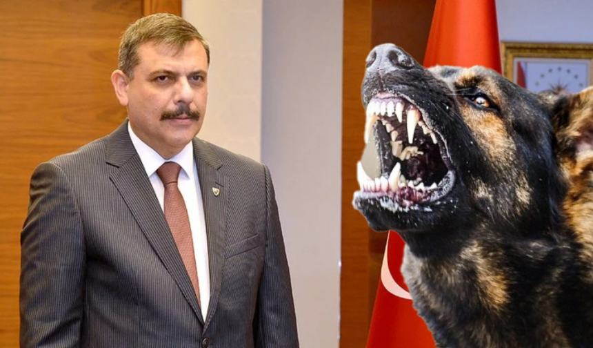 İçişleri Bakanı Çiftçi Düğmeye Bastı: “Hepsini Toplatacağım”