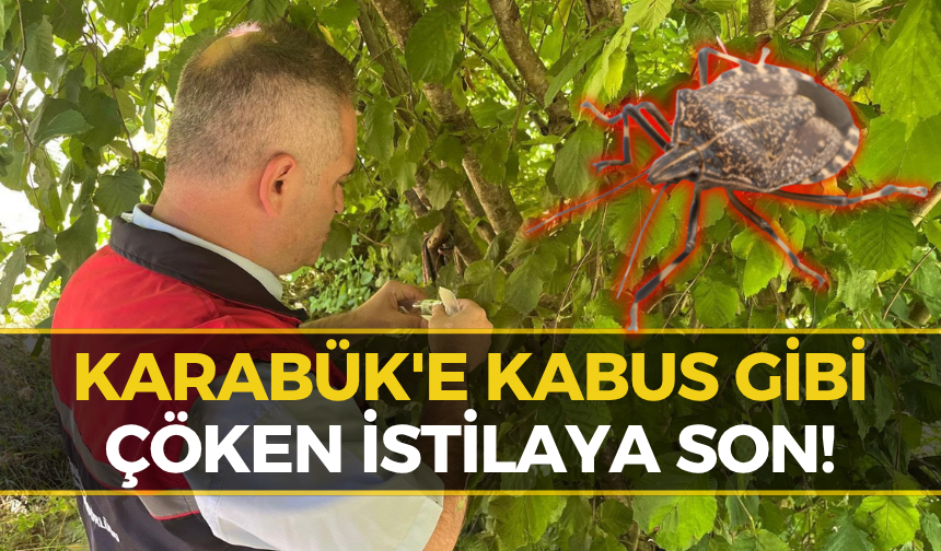 O Kabus Son Buluyor! Karabük İl Tarım Müdürlüğü Sahaya İndi