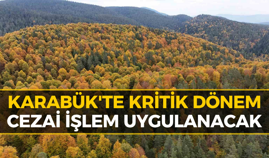 Karabük'te Orman Yasakları Başladı: Yeni Tedbirler Yürürlükte!