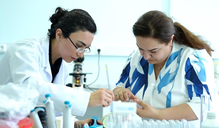 KBÜ’lü Bilim İnsanlarından Karaciğer Tedavisinde "Nanopartikül" Devrimi