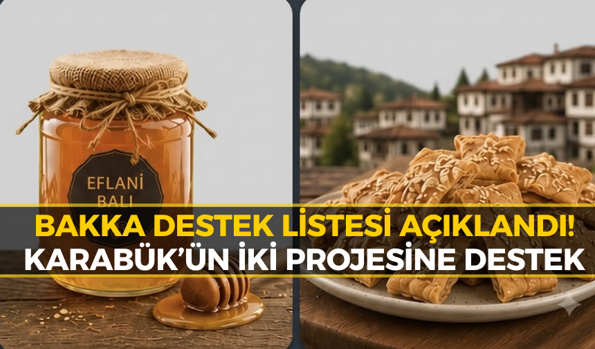 Karabük’ten İki Proje Destek Listesine Girdi