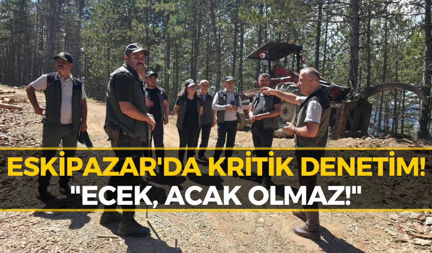 Karabük'te Orman Çalışmalarına Yakın Takip! Bölge Müdürü Tek Tek Uyardı