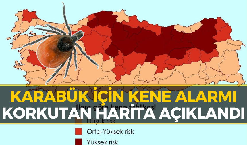 Karabük'te Kene Tehlikesi Zirvede! Uzmanlardan Hayati Uyarılar