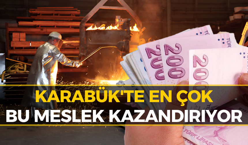Karabük'te En Çok Para Kazandıran Meslek Ortaya Çıktı