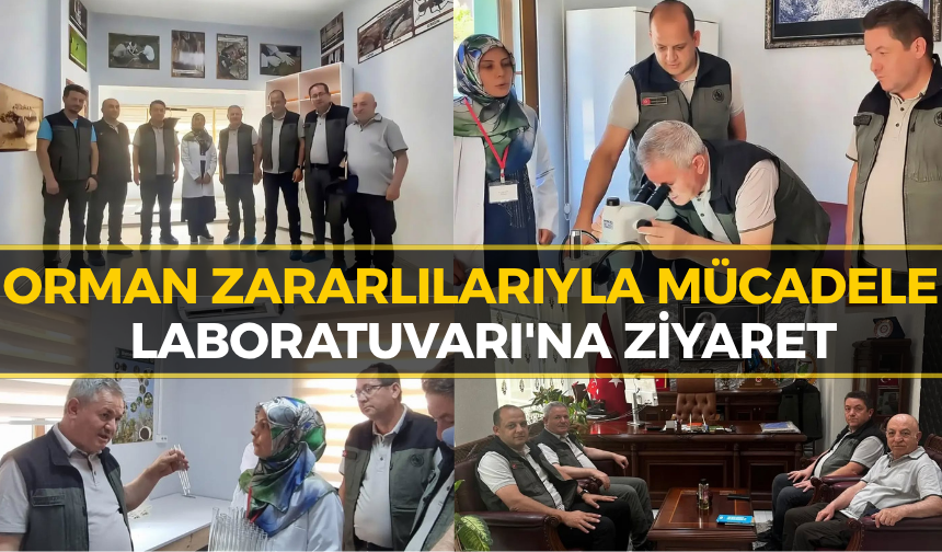 Karabük’te Orman Zararlılarıyla Mücadele Çalışmaları