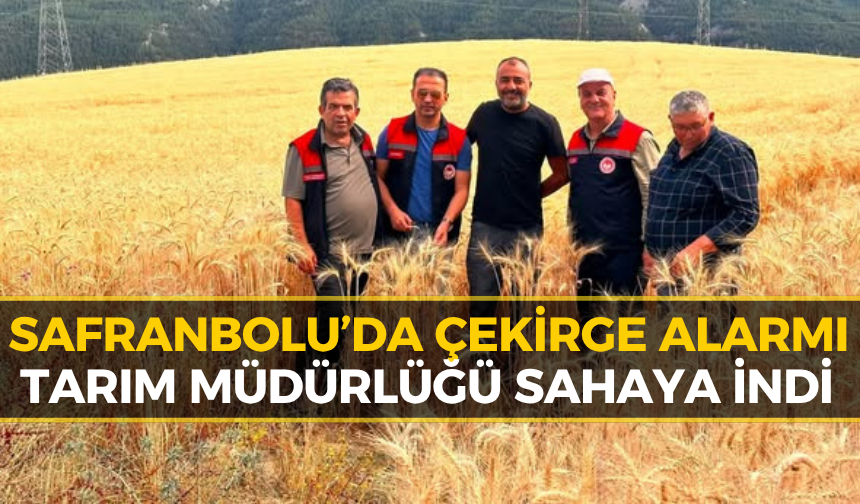 Safranbolu'da Çekirge İstilası İddiaları Sonrası Gerçek Ortaya Çıktı