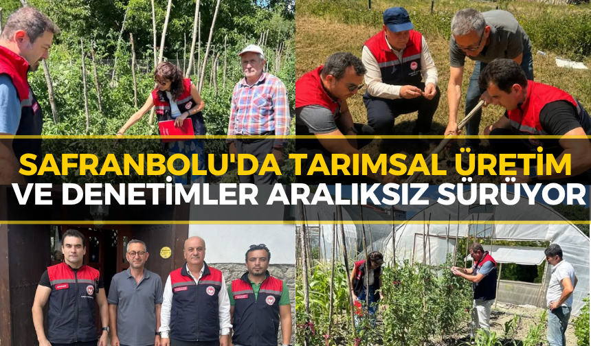 Safranbolu'da Tarım Üretimleri Yerinde İncelendi