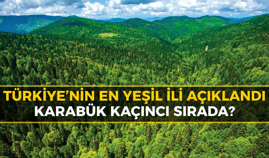 Türkiye'nin En Yeşil Şehri Belli Oldu: Karabük Kaçıncı Sırada?