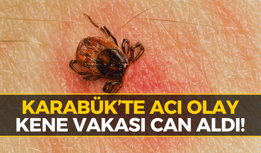 Karabük’te Kahreden Son: Keneyi Kendi Çıkardı, Ardından Rahatsızlandı!