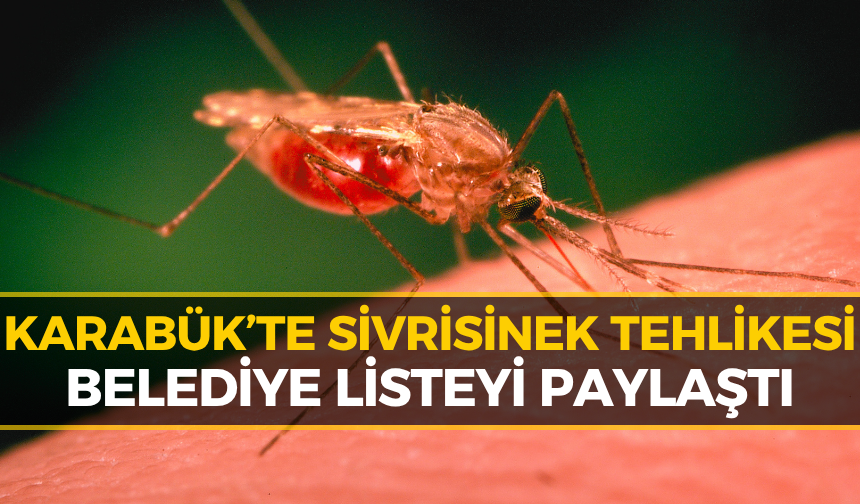 Karabük’te Sivrisinek Alarmı: Belediyeden 18 Nokta İçin Kritik Uyarı