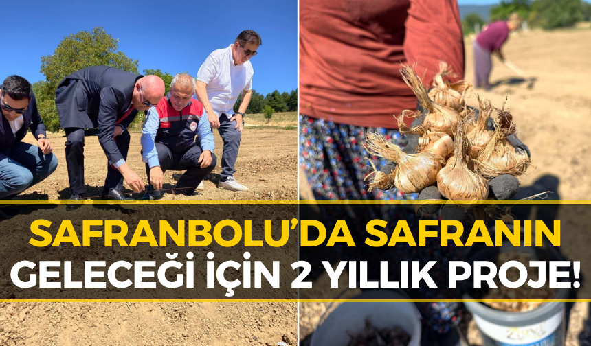 Safranbolu’da Safran İçin Kollar Sıvandı! İlk Soğanlar Dikildi