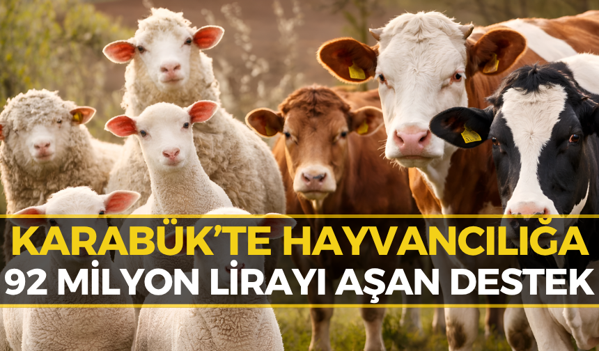 Karabük’te Hayvancılığa Dev Destek! Milyonlarca Lira Aktarıldı