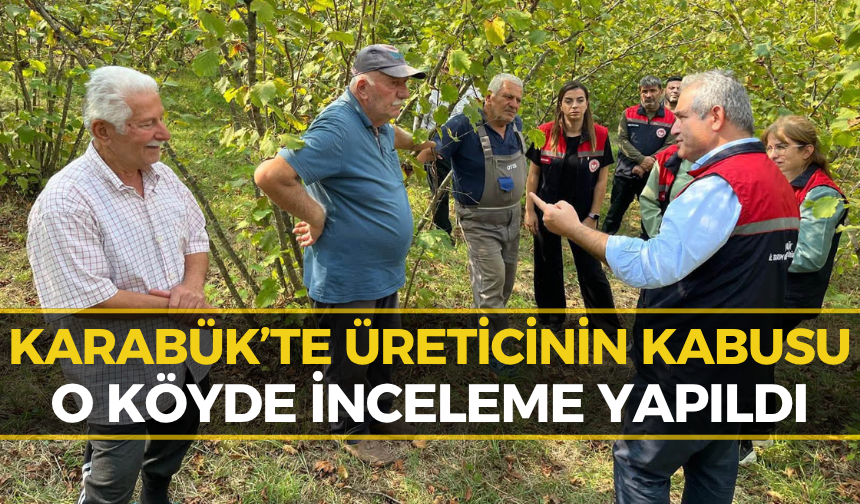 Karabük'te O Tehdide Karşı Önlem: İl Müdürü Önder İnceledi