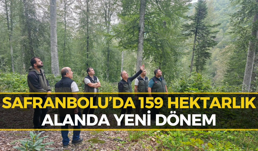 Safranbolu’da Yangının İzleri Siliniyor: Çalışmalar Başladı