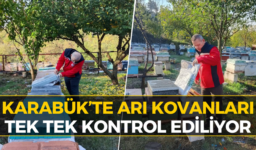 Karabük'te Ekipler Sahaya İndi: Kovan Kontrolleri Başladı