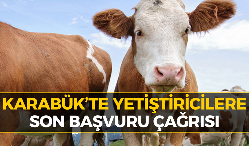 Karabük’te Üreticilere Destek Uyarısı: Bu Tarihi Kaçırmayın!
