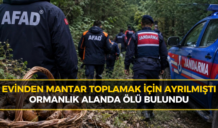 Karabük'te Yürek Yakan Olay: Mantar Toplamak İçin Gittiği Ormanda Can Verdi