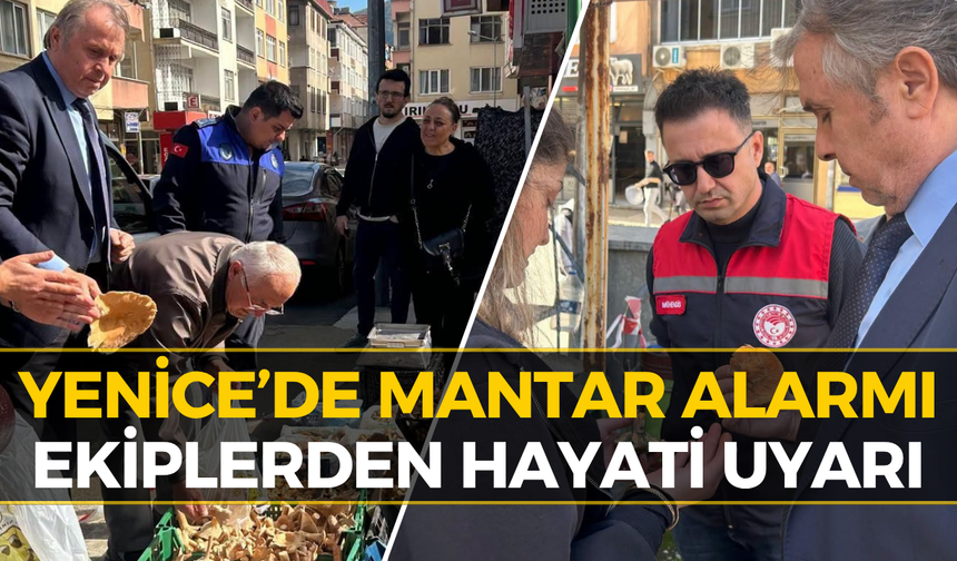 Yenice’de Zehirli Mantar Riskine Karşı Kritik Denetim...