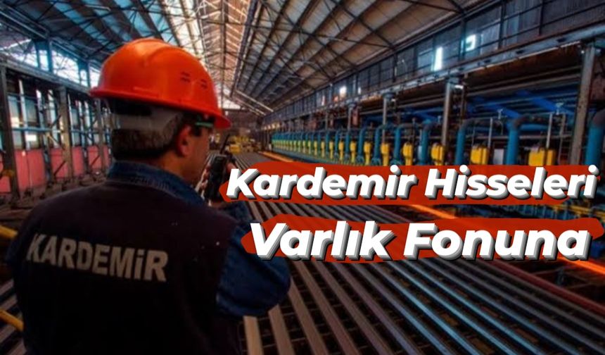 Kardemir Hisseleri Varlık Fonuna