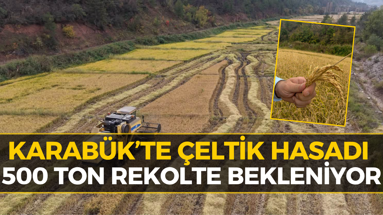 Karabük’te 595 Dekarlık Alanda Hasat Mesaisi Başladı